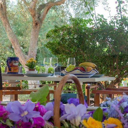 Casa Vacanze Il Bacio Πιάνο ντι Σορέντο Εξωτερικό φωτογραφία